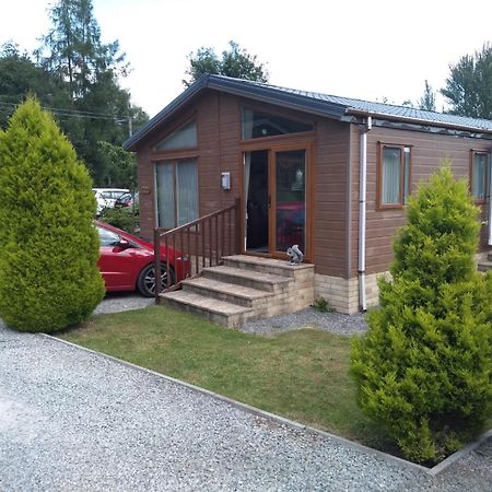 Squirrel Lodge Clearwell Zewnętrze zdjęcie